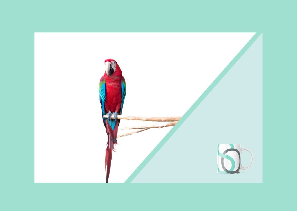 Imagen de un loro rojo con alas azules posado sobre una rama, acompañado de una taza blanca con diseño corporativo, sobre fondo blanco y marco verde menta. Representa originalidad, claridad comunicativa y una marca personal con identidad propi